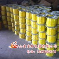 供應(yīng)山東管道工程專用示蹤線廠家直銷，管道工程專用示蹤線加工