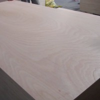 供應(yīng)生產(chǎn)一次成型包裝箱膠合板，夾板，貼面三合板