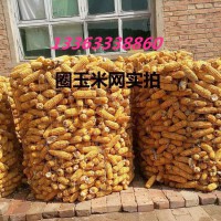 熱賣圈玉米電焊網(wǎng) 糧倉鋼絲網(wǎng)  圈雞網(wǎng)  圈菜園鐵絲網(wǎng)