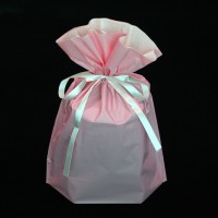 廠家直銷(xiāo)環(huán)保禮品包裝收納袋