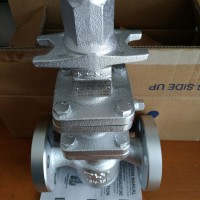 日本TLV法蘭蒸汽減壓閥 進(jìn)口減壓閥