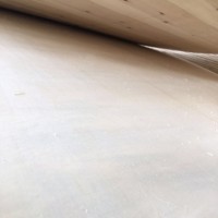 各種規(guī)格包裝板專業(yè)生產(chǎn)多層板 包裝板 膠合板等