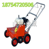 廣東佛山手推式人工草坪梳草機(jī)質(zhì)量好
