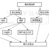 鉑思特低品位原生金礦石的生物柱浸工藝，選金尾礦渣回收金的設備