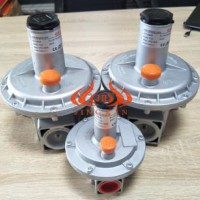 雄安新區 施能燃氣減壓閥SGV65F40-3  精燃機電