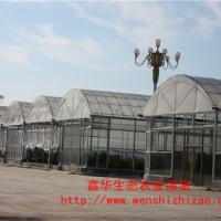 專業定制連棟大棚 連棟花房育苗溫室 山東鑫華廠家現貨批發