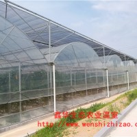 智能溫室連棟大棚 遮陽連棟大棚塑料薄膜 蔬菜農業連棟大棚