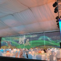 全息紗幕 投影紗幕 舞臺宴會全息紗幕 3D立體投影紗幕工程